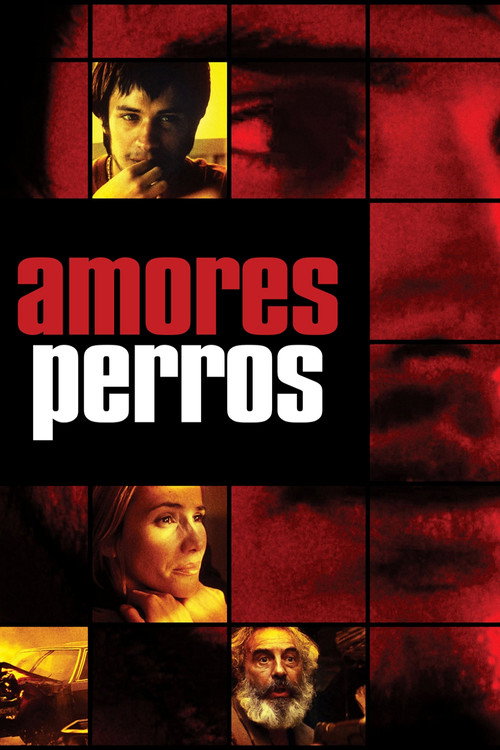 Carátula de Amores perros