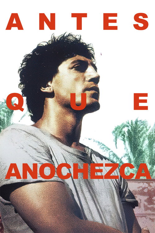 Carátula de Antes que anochezca