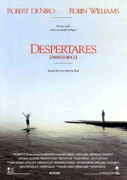 Carátula Despertares