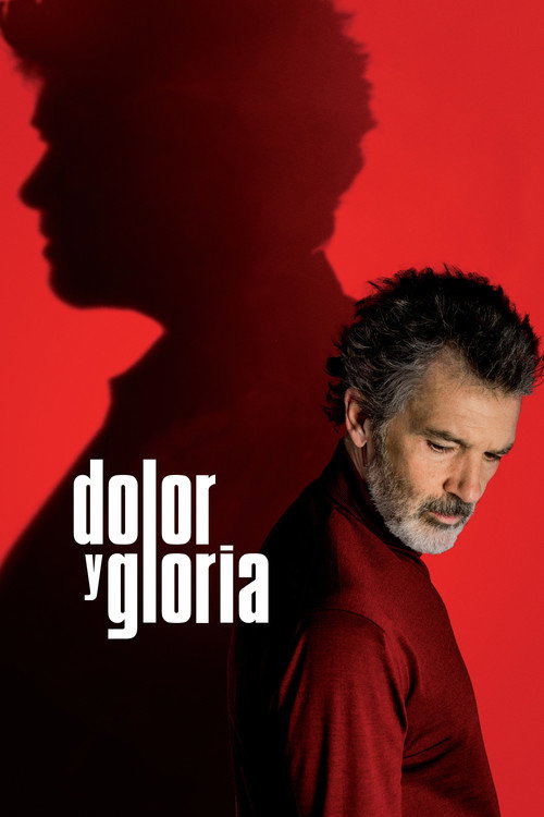 Carátula de Dolor y gloria
