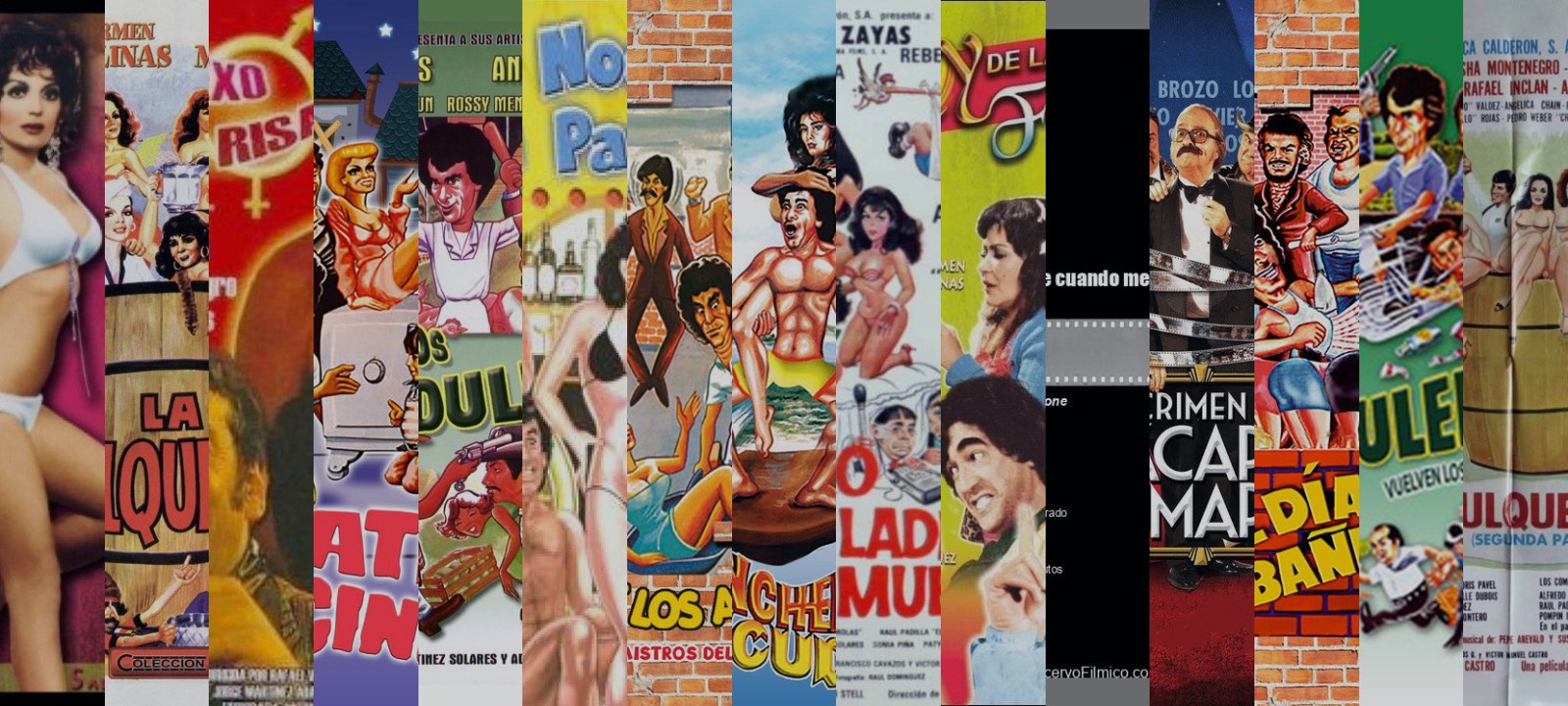Mosaico de carátulas de las películas de esta guía