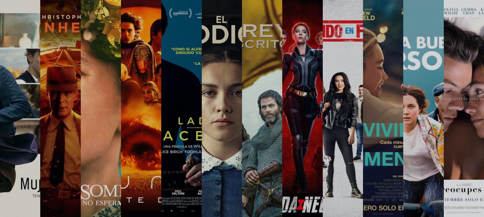 Mosaico de carátulas de las películas de esta guía