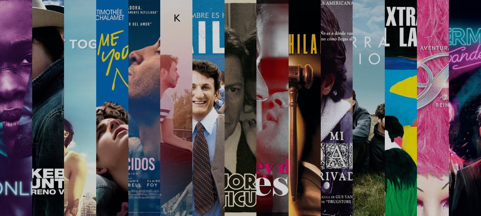 Mosaico de carátulas de las películas de esta guía