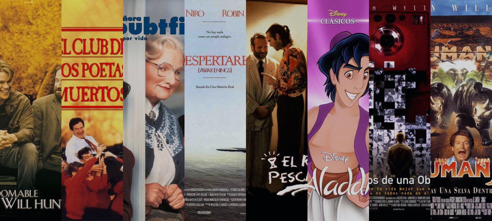Mosaico de carátulas de las películas de esta guía