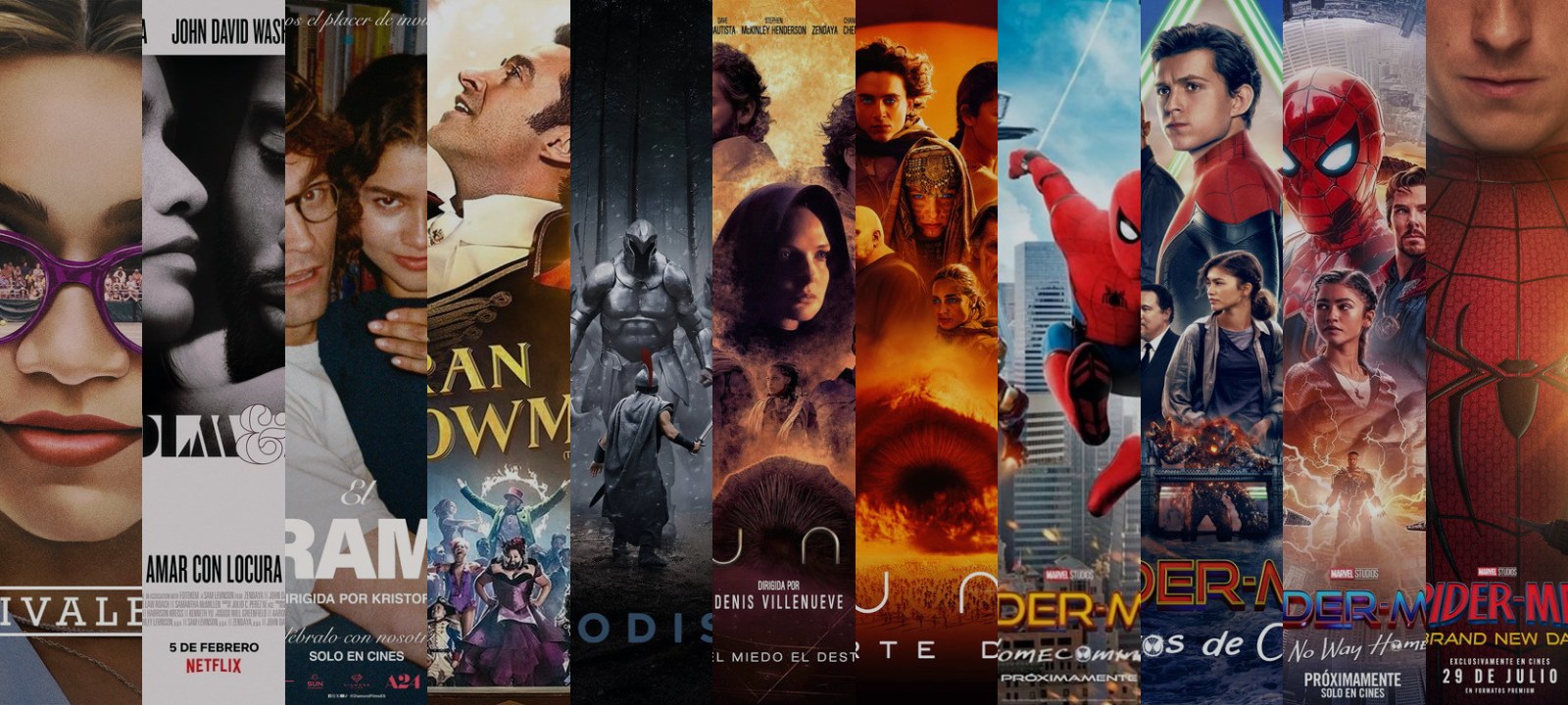 Mosaico de carátulas de las películas de esta guía