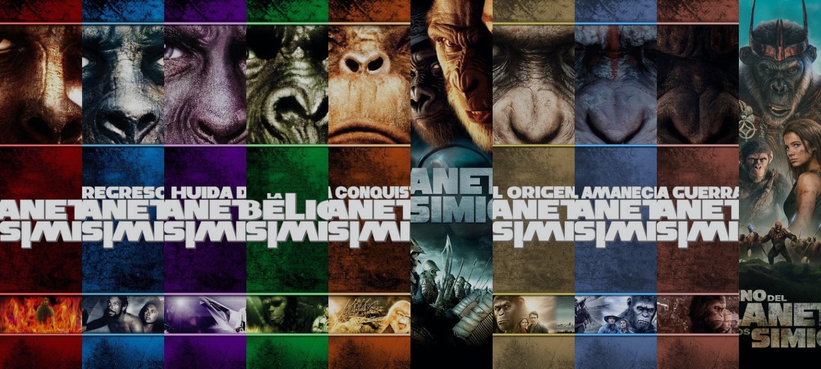 Mosaico de carátulas de las películas de esta guía
