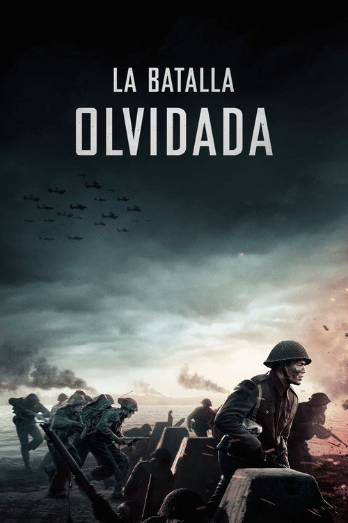 Carátula La batalla olvidada