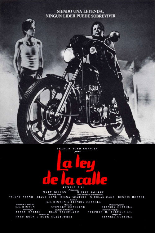 Carátula La ley de la calle
