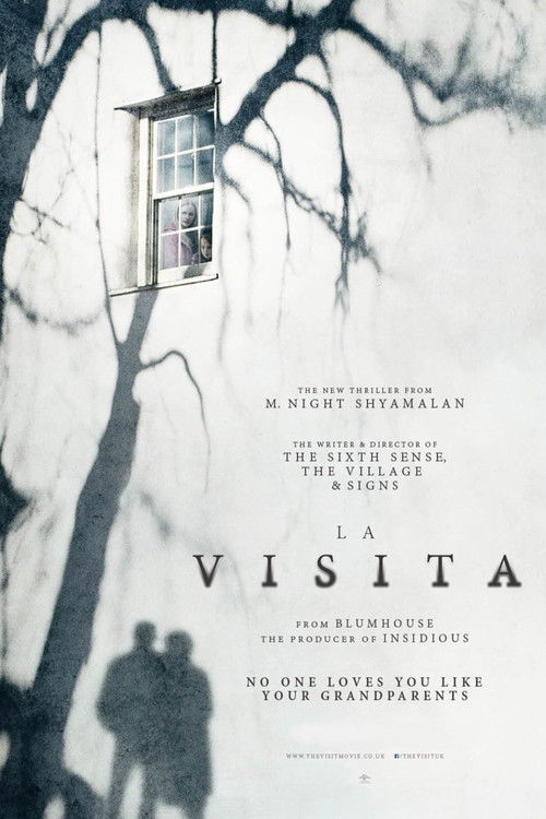 Carátula La visita