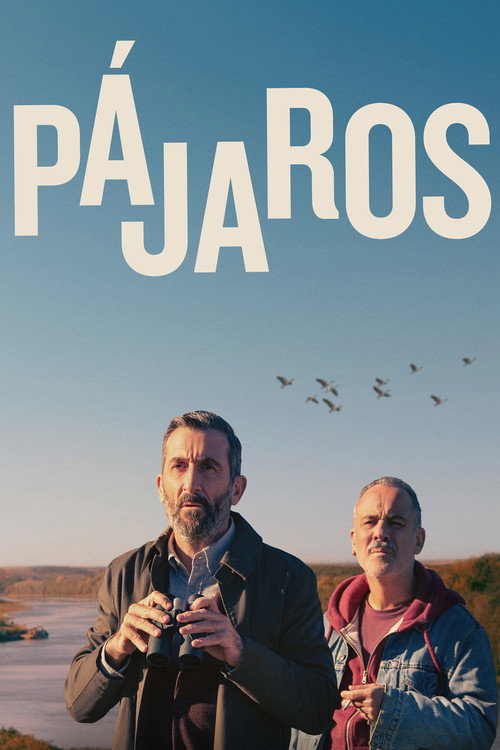 Carátula de Pájaros