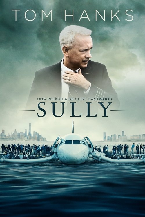 Carátula Sully