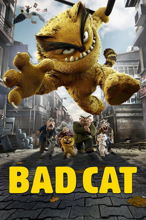 Carátula The Bad Cat