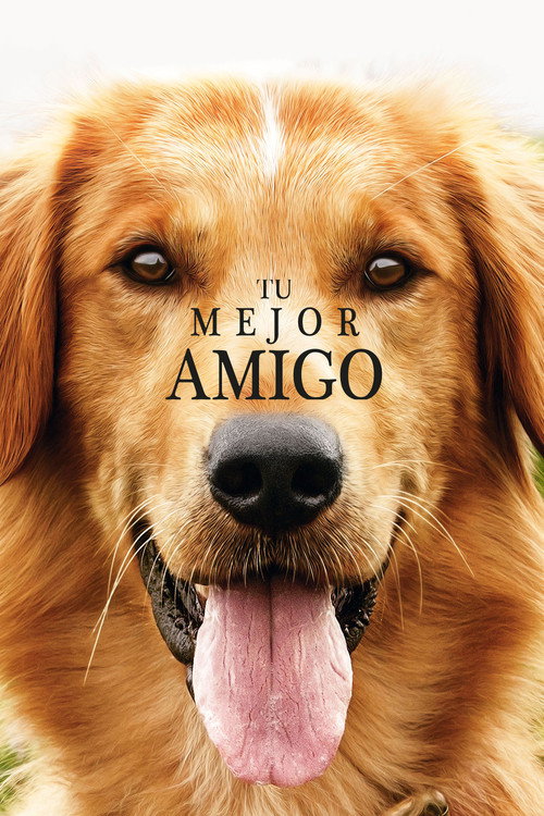 Car&aacute;tula de Tu mejor amigo